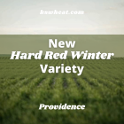 new_hard_red_winter_variety.png
