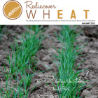 rediscover-wheat-january-2015.jpg