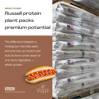 russell_protein_plant_instagram_post.png