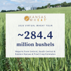 thursday_may_21_wheat_tour.png