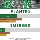 twitter_winter_wheat_planted_emerged_100321.png