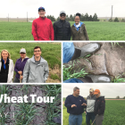 wheat_tour.png