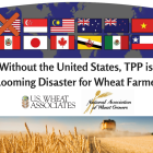 without_the_u.s._tpp_is_a_looming_disaster_for_wheat_farmers.png