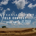 yield-contest.jpg