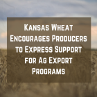 Kansas Wheat Encourages Producers to Express Support for Ag Export Programs 
