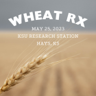 Wheat Rx