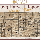 Harvest Report Day 16 map.