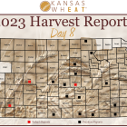 Day 8, Kansas Wheat Harvest Report
