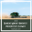 Kansas Wheat Harvest Wheat Scoop