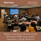 Image: Sawyer champions Kansas wheat farming.