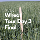 Image: Wheat Tour Day 3 Final.