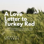 Image: A Love Letter to Turkey Red.