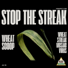 Wheat Scoop: Stop the streak