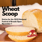 Wheat Scoop: nfob.