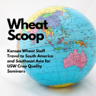 Wheat Scoop: Travel.