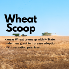 Wheat Scoop: NFWF Grant.