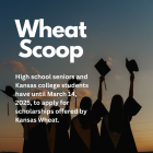 Wheat Scoop: Scholarships.