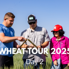 Wheat tour 2025, Day 2.