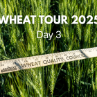 Image: Wheat Tour 2025, Day 3.