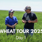 Photo: Wheat Tour 2025 Day 1.