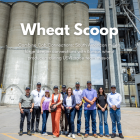 Wheat Scoop: SAMTT.