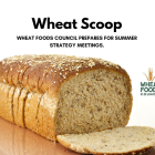 Wheat Scoop