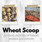 Wheat Scoop: NFOB