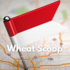 Wheat Scoop: Indonesia 