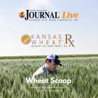 Copy of Wheat Scoop