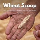 Copy of Wheat Scoop - custom harvester (Facebook Post).png