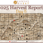 Map: Day 8 Harvest Report.