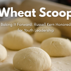 Wheat Scoop - Russell Kern (Facebook Post).png