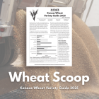 Wheat Scoop: Kansas Wheat Variety Guide 2025
