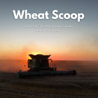 Copy of Copy of Wheat Scoop