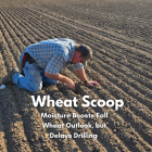 Wheat Scoop - Drill (Facebook Post).png