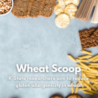 Wheat Scoop - Gluten Research (Facebook Post).png