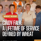 Wheat Scoop: Cindy