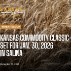 Wheat Scoop: KCC