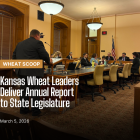 Annual Report (Facebook Post).png