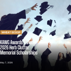 Scholarship (Facebook Post).png