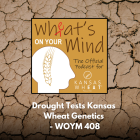 Wheat_on_your_mind_408.