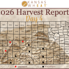 Day 4 Harvest Report