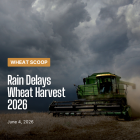 Rain Delays Wheat Harvest 2026 (Facebook Post).png