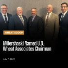 Wheat Scoop 7126 (Facebook Post 2).png