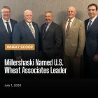 Wheat Scoop