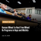 wheat scoop: wheat rx
