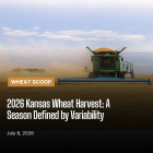 Wheat Scoop