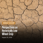 Copy of Wheat Scoop 82026 (Facebook Post).png