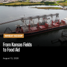 Wheat Scoop: Ks Fields to Food Aid