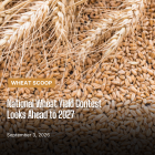 Wheat Scoop - wheat yield contest